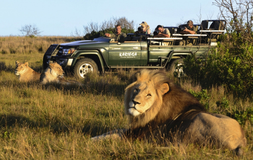knecht Golf und Safari Südafrika