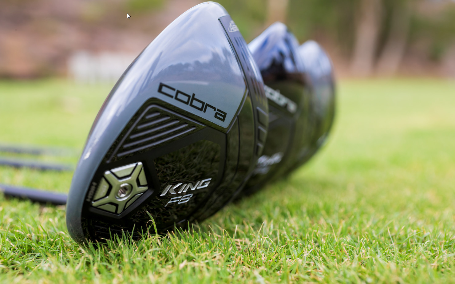 COBRA KING F8 Driver Family Modell 2018