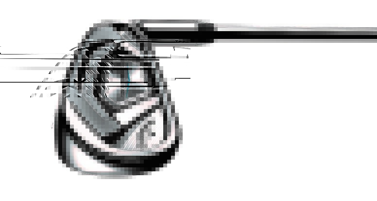 Callaway Rogue Eisen