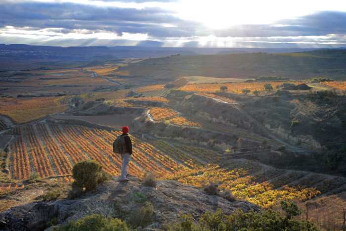 La Rioja - Logroño