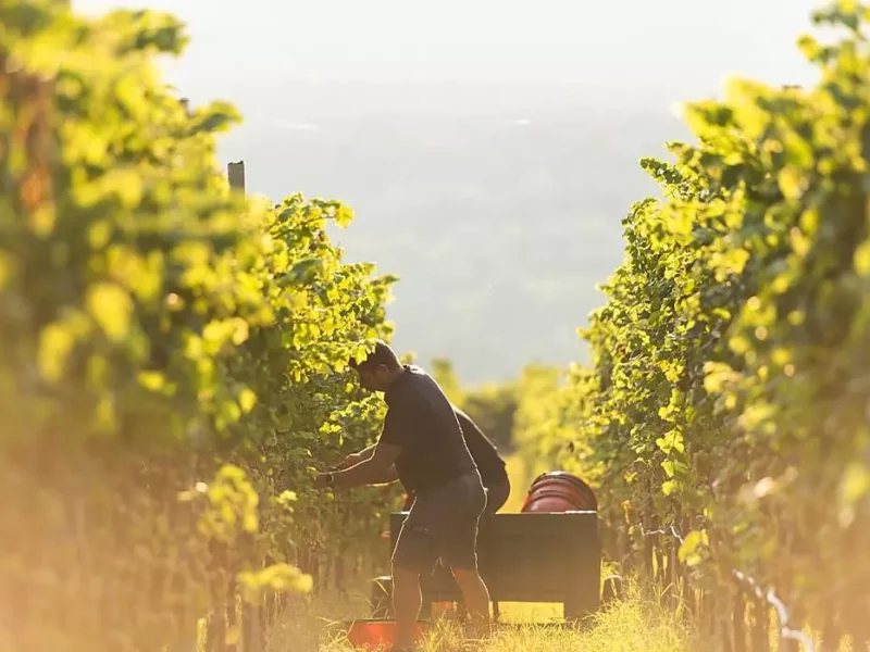 Golf und Wein Südtirol