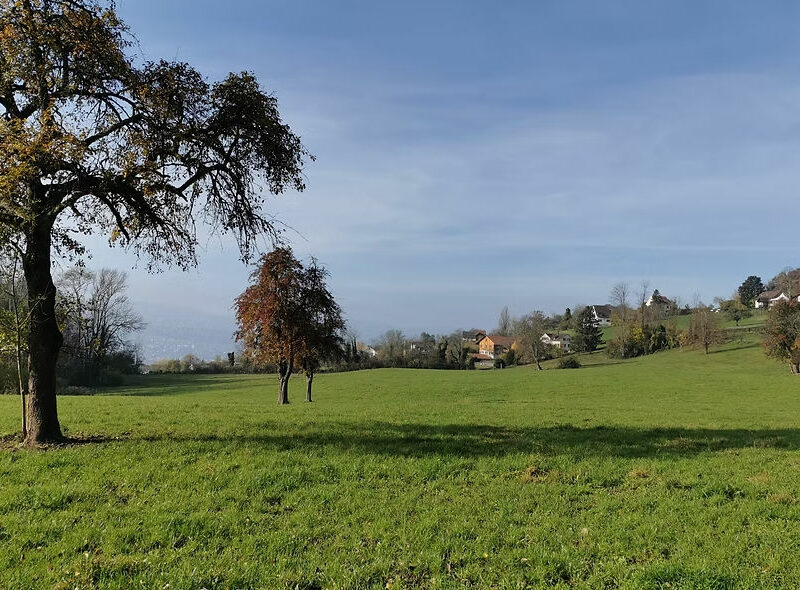 Perimeter Public Golf Herrliberg