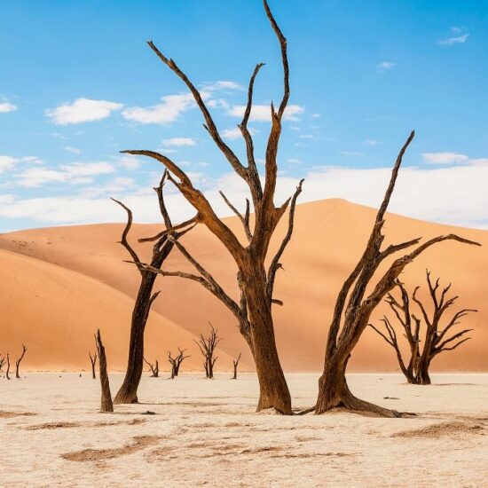 beautiful landscape in the Namib desert at Deadvlei