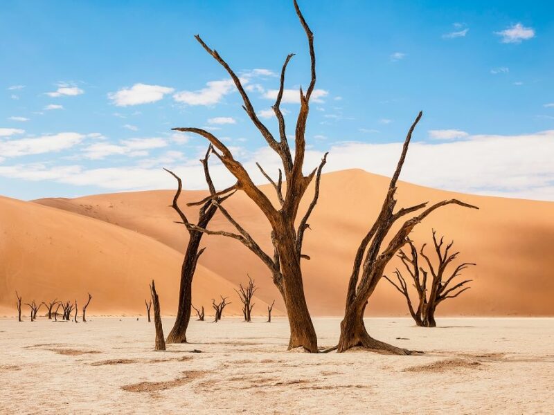beautiful landscape in the Namib desert at Deadvlei