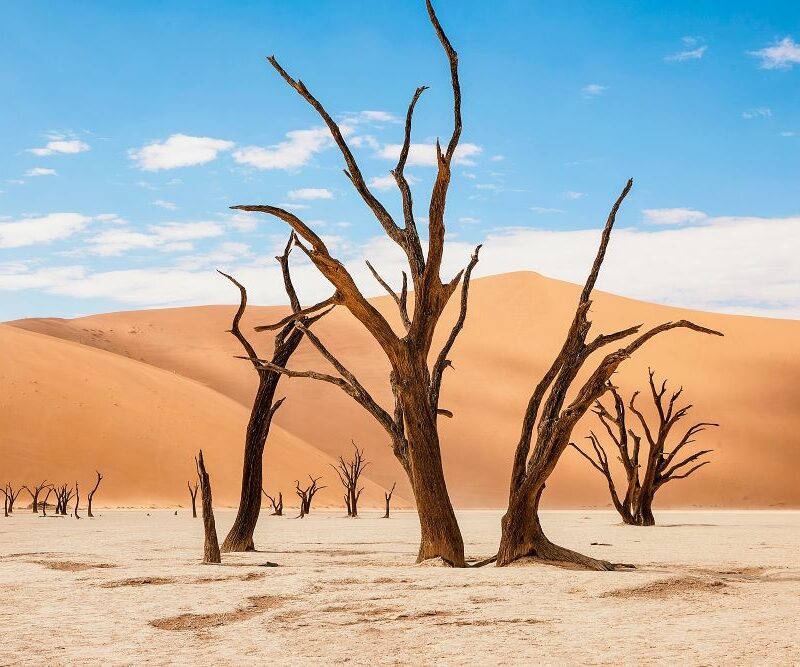 beautiful landscape in the Namib desert at Deadvlei