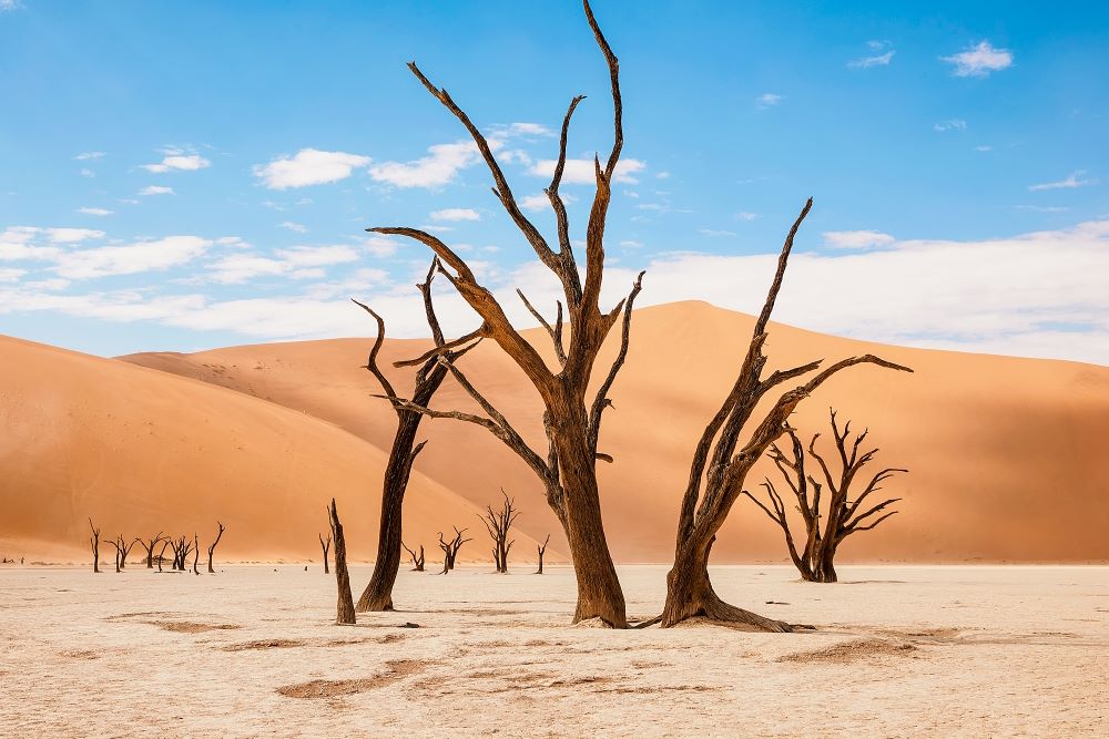 beautiful landscape in the Namib desert at Deadvlei