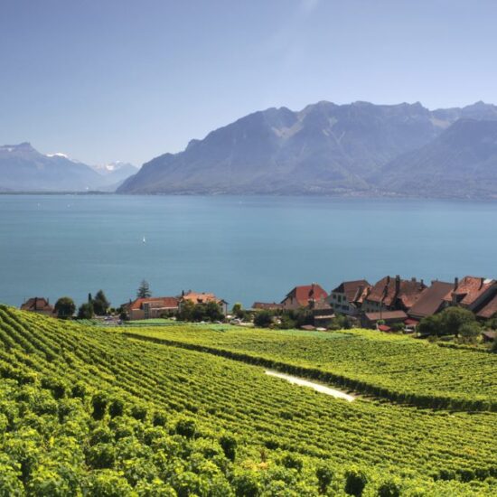 Lavaux Genfersee