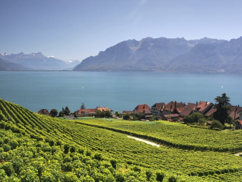 Lavaux Genfersee