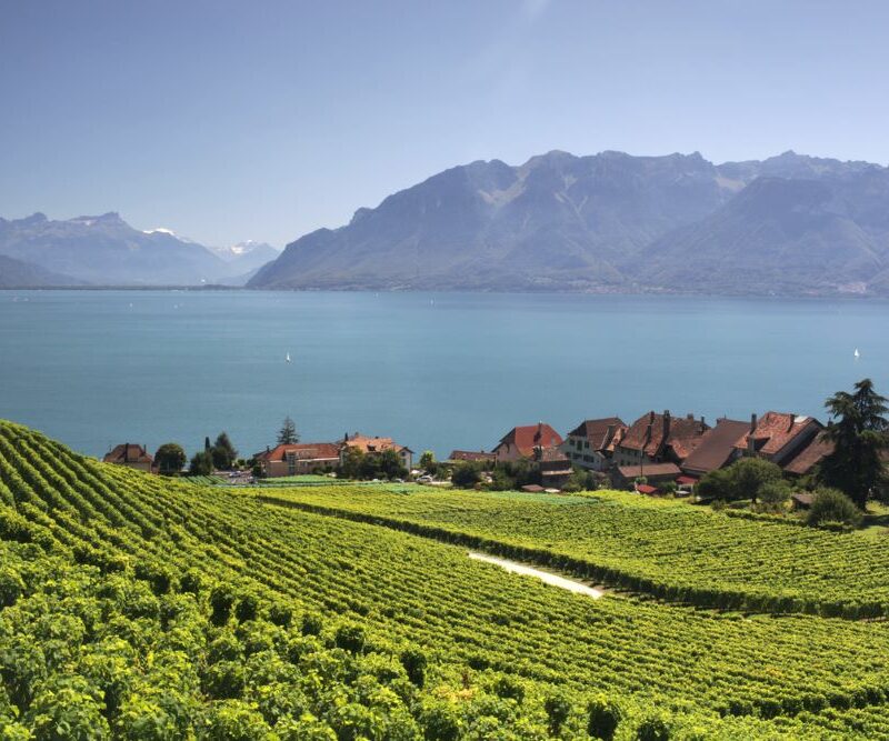 Lavaux Genfersee