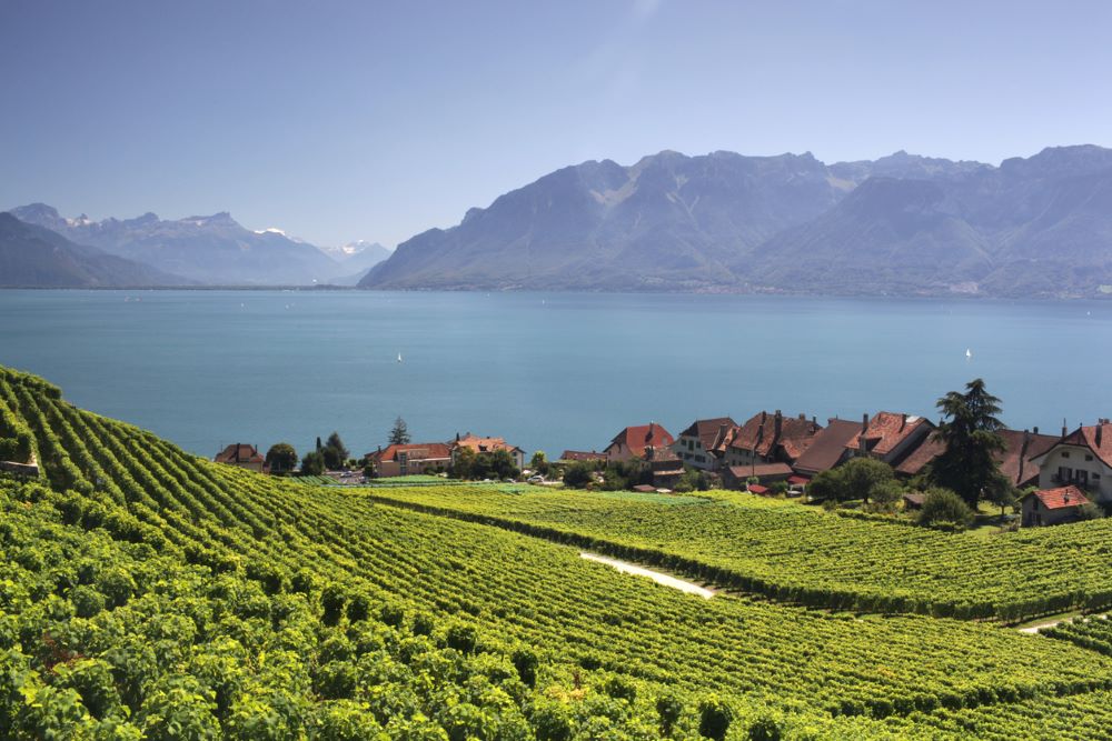 Lavaux Genfersee